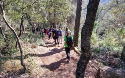 Un grup de gent caminant pel bosc